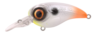 0001_Spro_Fat_Iris_50_CR_[Hot_Tail].jpg